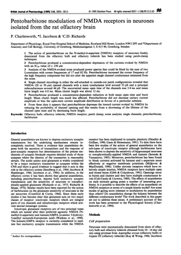 Pentobarbitone Modulation of NMDA Receptors in Neurones Isolated from the Rat Olfactory Brain P