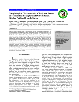 Morphological Characteristics of Ladybird Beetles (Coccinellidae: Coleoptera) of District Buner, Khyber Pakhtunkhwa, Pakistan