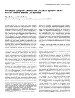 Prolonged Synaptic Currents and Glutamate Spillover at the Parallel Fiber to Stellate Cell Synapse