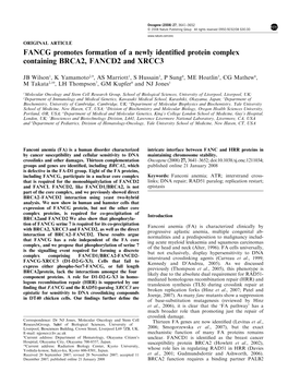 FANCG Promotes Formation of a Newly Identified Protein Complex