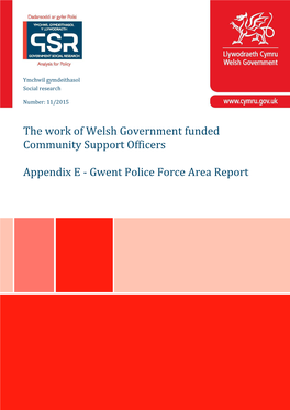 The Work of Welsh Government Funded Community Support Officers