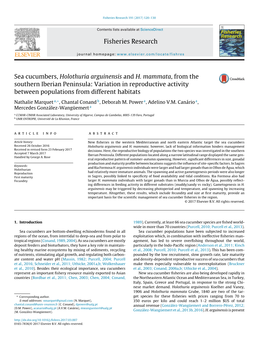 Sea Cucumbers, Holothuria Arguinensis and H. Mammata, from The