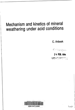 Mechanism and Kinetics of Mineral Weathering Under Acid Conditions