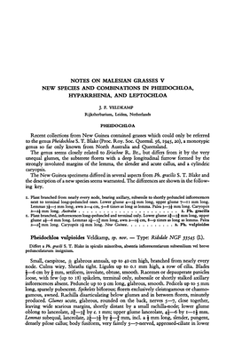 3J Mm Long, Awn 2—2\ Cm, —9 Times As Long As New Guinea Ph