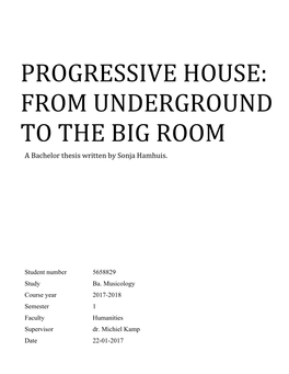 Progressive House: from Underground to the Big Room