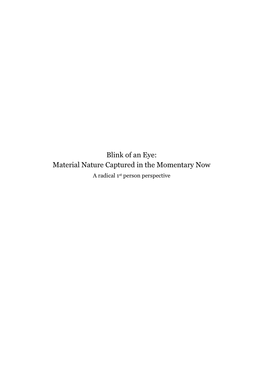 Blink of an Eye: Material Nature Captured in the Momentary Now a Radical 1St Person Perspective