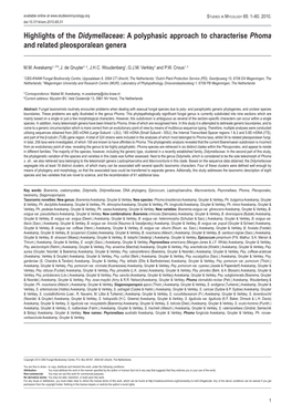 A Polyphasic Approach to Characterise Phoma and Related Pleosporalean Genera