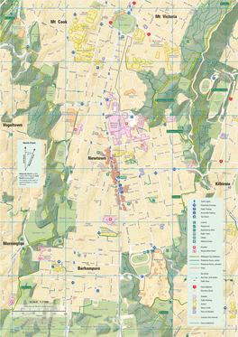 Newtown and Berhampore Walking Map (PDF)