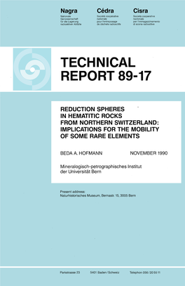 Technical Report 89-17