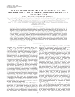 New Sea Turtle from the Miocene of Peru and the Iterative Evolution of Feeding Ecomorphologies Since the Cretaceous