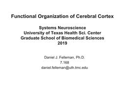 Functional Organization of Cerebral Cortex