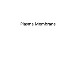 Plasma Membrane Sandwich Model Unit Membrane