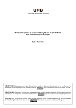 Molecular Regulation of Carotenoid Biosynthesis in Tomato Fruits. New Biotechnological Strategies Lucio D'andrea