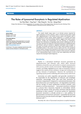 The Roles of Lysosomal Exocytosis in Regulated Myelination