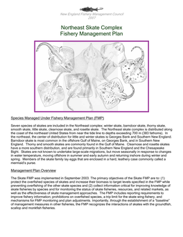 Northeast Skate Complex Fishery Management Plan