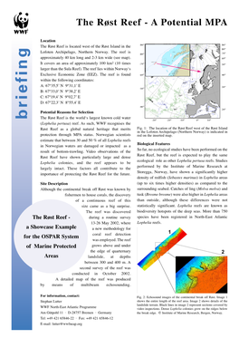 The Røst Reef - Reef Røst the Y En O Mliem Echosounding