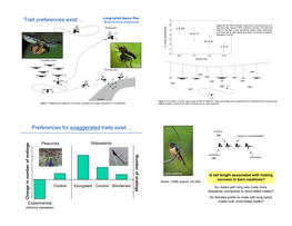 Preferences for Exaggerated Traits Exist… Control I ! Control II (Unmanipulated)