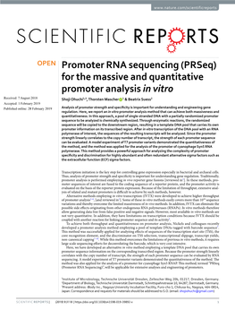 Promoter RNA Sequencing