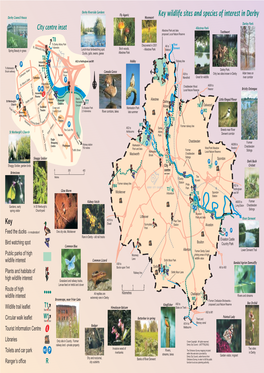 Key Wildlife Sites and Species of Interest in Derby