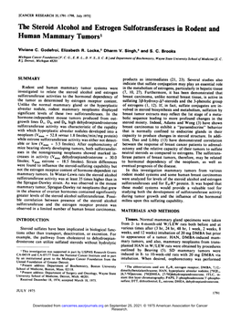 The Steroid Alcohol and Estrogen Sulfotransferases in Rodent and Human Mammary Tumors1