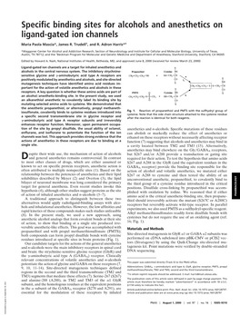 Specific Binding Sites for Alcohols and Anesthetics on Ligand-Gated Ion Channels