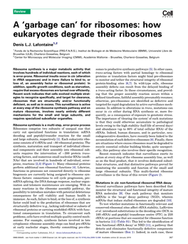 How Eukaryotes Degrade Their Ribosomes