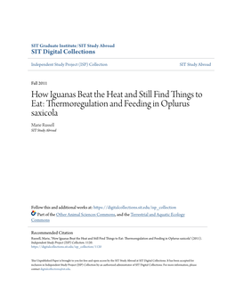 How Iguanas Beat the Heat and Still Find Things to Eat: Thermoregulation and Feeding in Oplurus Saxicola Marie Russell SIT Study Abroad