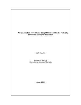 An Examination of Youth and Gang Affiliation Within the Federally Sentenced Aboriginal Population