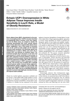 Ectopic UCP1 Overexpression in White Adipose Tissue Improves Insulin Sensitivity in Lou/C Rats, a Model of Obesity Resistance