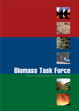 Biomass Task Force Report to Government • October 2005 Standing – Nikki Macleod, David Clayton, Rebecca Cowburn