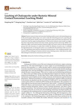 Leaching of Chalcopyrite Under Bacteria–Mineral Contact/Noncontact Leaching Model