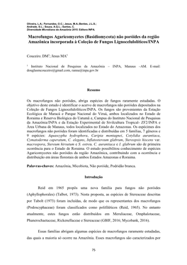 Macrofungos Agaricomycetes (Basidiomycota) Não Poróides Da Região Amazônica Incorporada À Coleção De Fungos Lignocelulolíticos/INPA