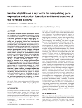 Nutrient Depletion As a Key Factor for Manipulating Gene Expression and Product Formation in Different Branches of the ﬂavonoid Pathway