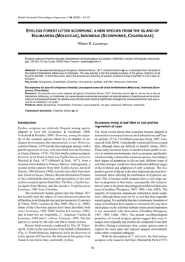 EYELESS FOREST LITTER SCORPIONS; a NEW SPECIES from the ISLAND of HALMAHERA (MOLUCCAS), INDONESIA (SCORPIONES, CHAERILIDAE) Wils