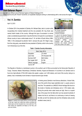 Vol. 9: Zambia Sub-Saharan Report