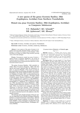 A New Species of the Genus Grammia Rambur, 1866 (Lepidoptera, Arctiidae) from Northern Transbaikalia