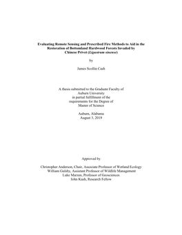 Cash Thesis Final.Pdf (4.432Mb)