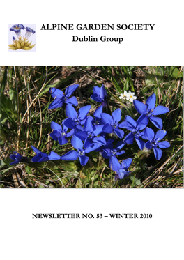 Gentiana Verna, at Home and Abroad by Robert Rolfe------13