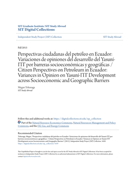Perspectivas Ciudadanas Del Petrã³leo En Ecuador: Variaciones