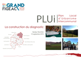 La Construction Du Diagnostic