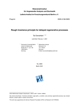 Rough Invariance Principle for Delayed Regenerative Processes