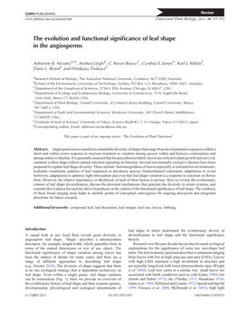 The Evolution and Functional Significance of Leaf Shape In'the