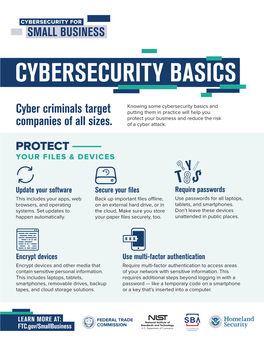 Cybersecurity Basics