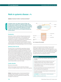 Nails in Systemic Disease