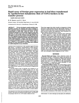 Role of T-DNA Borders in the Transfer Process (Nopaline/Plants/Gene Transfer)