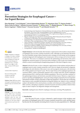 Prevention Strategies for Esophageal Cancer— an Expert Review