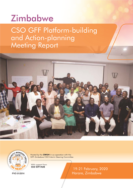 CSO GFF Platform-Building and Action-Planning Meeting Report