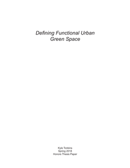 Defining Functional Urban Green Space