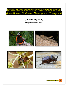 Estudi Sobre La Biodiversitat Invertebrada De Rubí (Lepidòpters, Ortòpters, Heteròpters I Coleòpters)