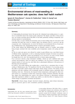 Seeding in Mediterranean Oak Species: Does Leaf Habit Matter?